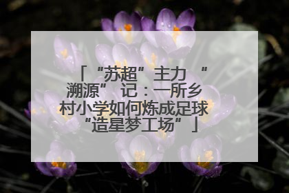“苏超”主力 “溯源” 记：一所乡村小学如何炼成足球 “造星梦工场”