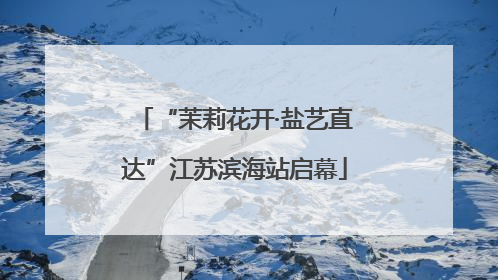 “茉莉花开·盐艺直达”江苏滨海站启幕