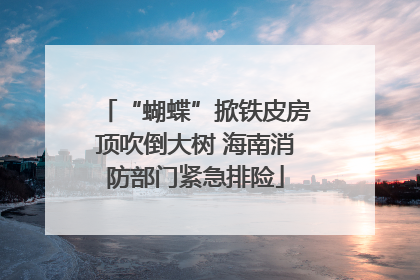 “蝴蝶”掀铁皮房顶吹倒大树 海南消防部门紧急排险