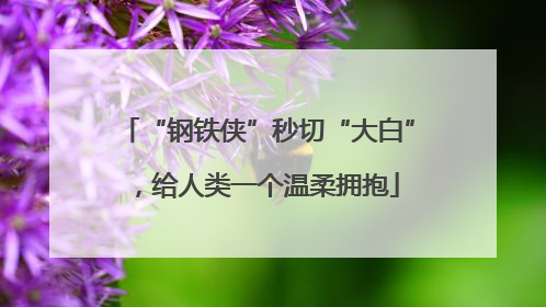 “钢铁侠”秒切“大白”，给人类一个温柔拥抱