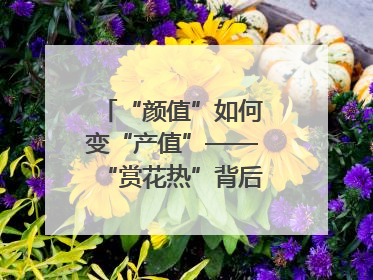 “颜值”如何变“产值”——“赏花热”背后的产业图谱