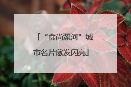 “食尚漯河”城市名片愈发闪亮