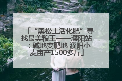 “黑松土活化肥”寻找最美粮王——濮阳站：碱地变肥地 濮阳小麦亩产1500多斤