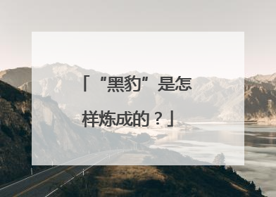 “黑豹”是怎样炼成的？