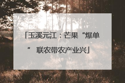 玉溪元江：芒果“爆单” 联农带农产业兴