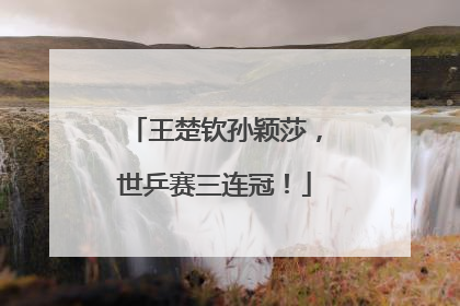 王楚钦孙颖莎，世乒赛三连冠！
