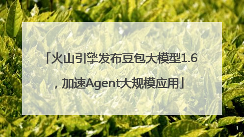 火山引擎发布豆包大模型1.6，加速Agent大规模应用