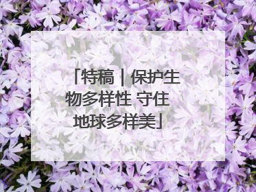 特稿｜保护生物多样性 守住地球多样美