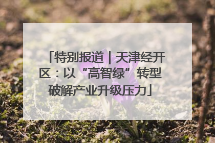 特别报道｜天津经开区：以“高智绿”转型破解产业升级压力