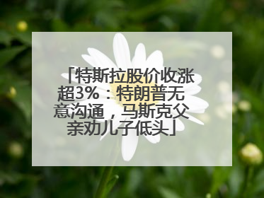 特斯拉股价收涨超3%：特朗普无意沟通，马斯克父亲劝儿子低头