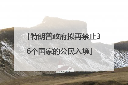 特朗普政府拟再禁止36个国家的公民入境