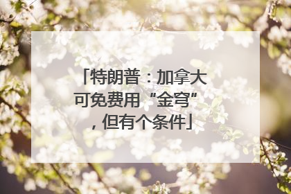 特朗普：加拿大可免费用“金穹”，但有个条件