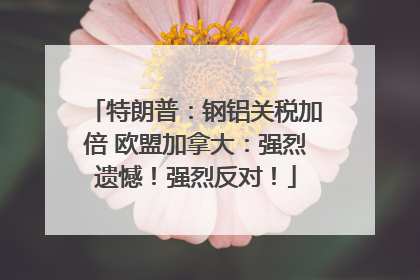 特朗普：钢铝关税加倍 欧盟加拿大：强烈遗憾！强烈反对！