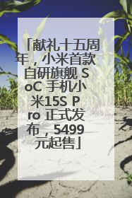 献礼十五周年，小米首款自研旗舰 SoC 手机小米15S Pro 正式发布，5499 元起售