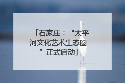 石家庄：“太平河文化艺术生态圈”正式启动