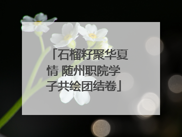 石榴籽聚华夏情 随州职院学子共绘团结卷