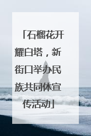 石榴花开耀白塔，新街口举办民族共同体宣传活动