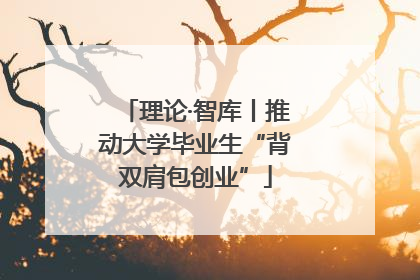 理论·智库丨推动大学毕业生“背双肩包创业”