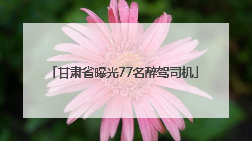 甘肃省曝光77名醉驾司机