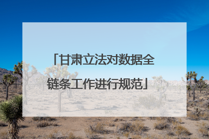 甘肃立法对数据全链条工作进行规范