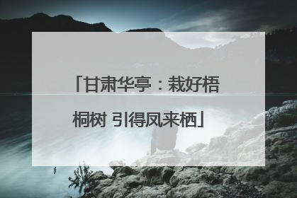 甘肃华亭：栽好梧桐树 引得凤来栖