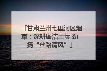 甘肃兰州七里河区烟草：深耕廉洁土壤 劲扬“丝路清风”