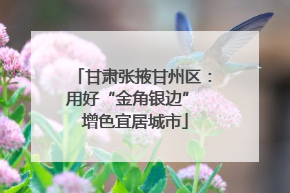甘肃张掖甘州区：用好“金角银边” 增色宜居城市