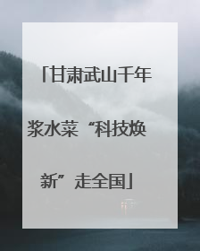甘肃武山千年浆水菜“科技焕新”走全国