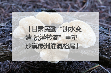 甘肃民勤“浊水变清 漫灌转滴”重塑沙漠绿洲灌溉格局