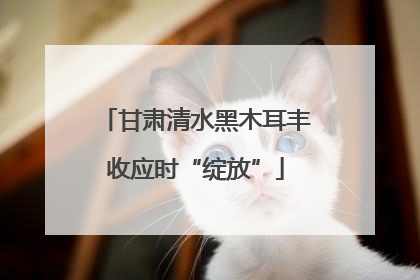 甘肃清水黑木耳丰收应时“绽放”