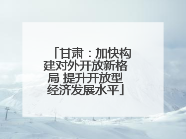 甘肃：加快构建对外开放新格局 提升开放型经济发展水平