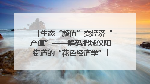 生态“颜值”变经济“产值”——解码肥城仪阳街道的“花色经济学”