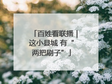 百姓看联播｜这小县城 有“两把刷子”
