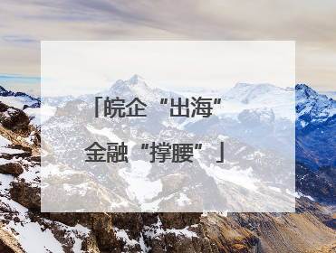 皖企“出海” 金融“撑腰”