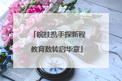 皖桂携手探新程 教育数转启华章