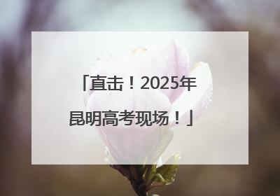 直击！2025年昆明高考现场！