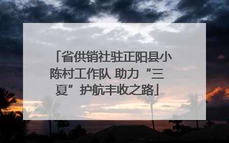 省供销社驻正阳县小陈村工作队 助力“三夏”护航丰收之路