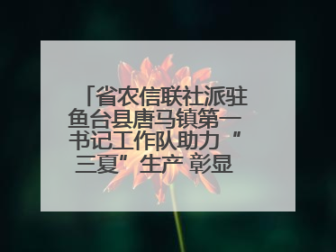 省农信联社派驻鱼台县唐马镇第一书记工作队助力“三夏”生产 彰显为民担当