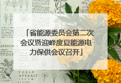省能源委员会第二次会议暨迎峰度夏能源电力保供会议召开