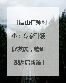 眉山仁师附小：专家引领促发展，精研课题启新篇