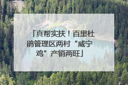 真帮实扶！百里杜鹃管理区两村“威宁鸡”产销两旺