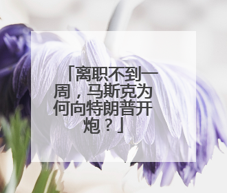离职不到一周，马斯克为何向特朗普开炮？