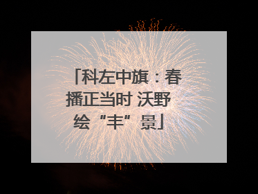 科左中旗：春播正当时 沃野绘“丰”景