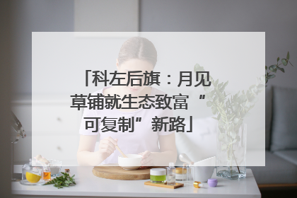 科左后旗：月见草铺就生态致富“可复制”新路