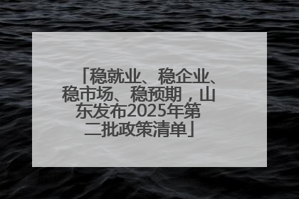 稳就业、稳企业、稳市场、稳预期，山东发布2025年第二批政策清单