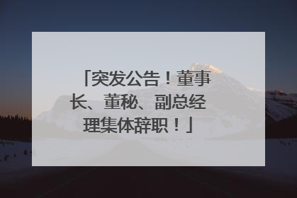 突发公告！董事长、董秘、副总经理集体辞职！