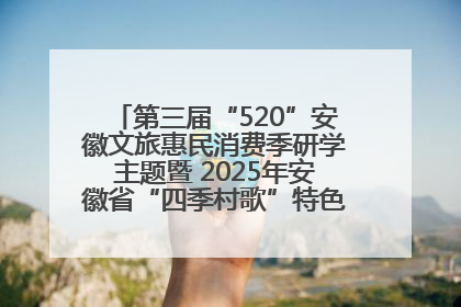 第三届“520”安徽文旅惠民消费季研学主题暨 2025年安徽省“四季村歌”特色展演燃动池州