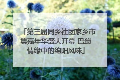 第三届同乡社团家乡市集嘉年华盛大开幕 巴蜀情缘中的绵阳风味