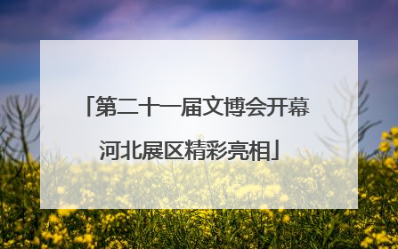 第二十一届文博会开幕 河北展区精彩亮相