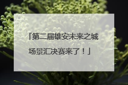第二届雄安未来之城场景汇决赛来了！